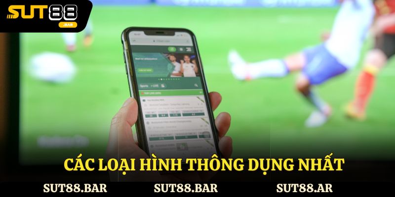 Các loại hình thông dụng nhất
