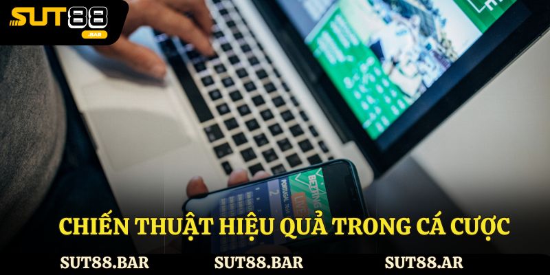 Chiến thuật hiệu quả trong cá cược