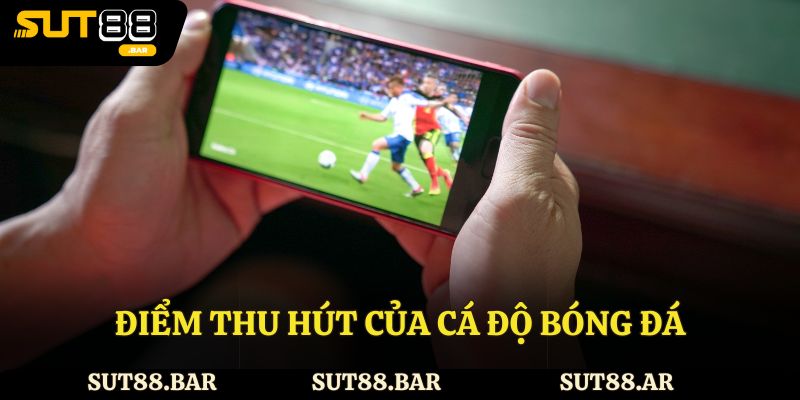 Điểm thu hút của cá độ bóng đá