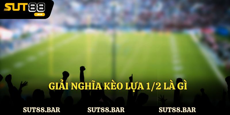 Giải nghĩa kèo lựa 1/2 là gì