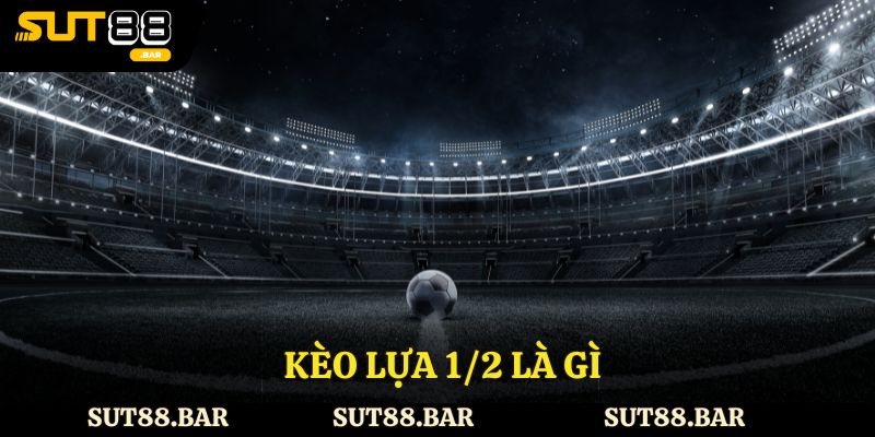 Kèo Lựa 1/2 Là Gì - Tìm Hiểu Tổng Quan Chi Tiết Cùng Sut88