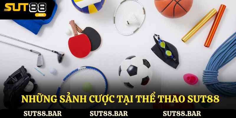 Đa dạng sảnh cược tại thể thao Sut88