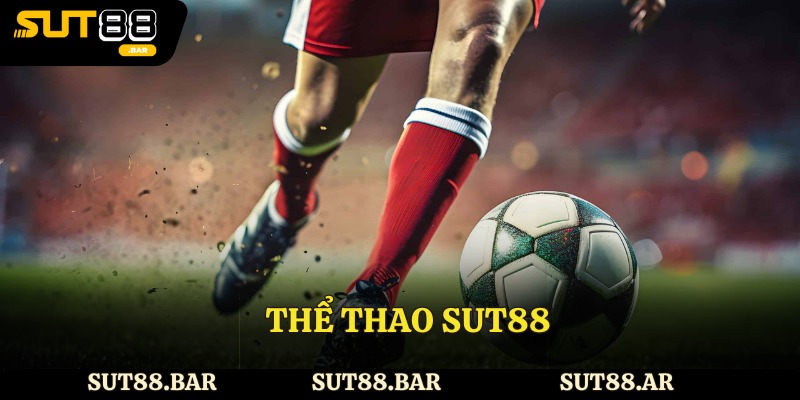 Sảnh thể thao Sut88 hấp dẫn
